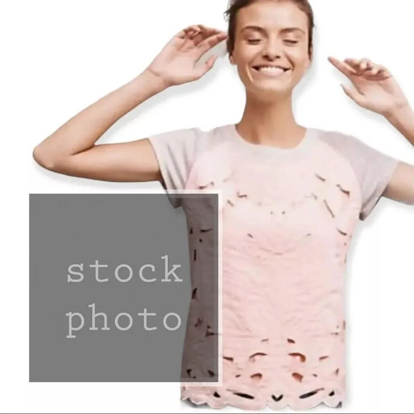 Anthropologie Saturday Sunday Millie Quilted Cut Out Crewneck Top Sz Small - Picture 9 of 9